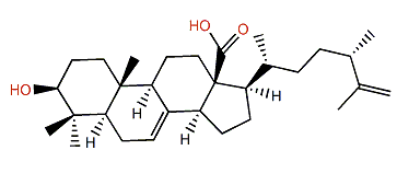 Padinolic acid